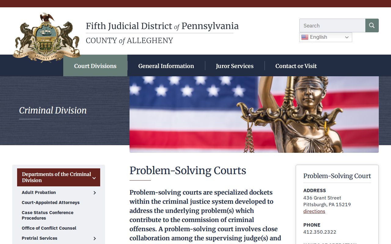 Allegheny County criminal problem-solving courts